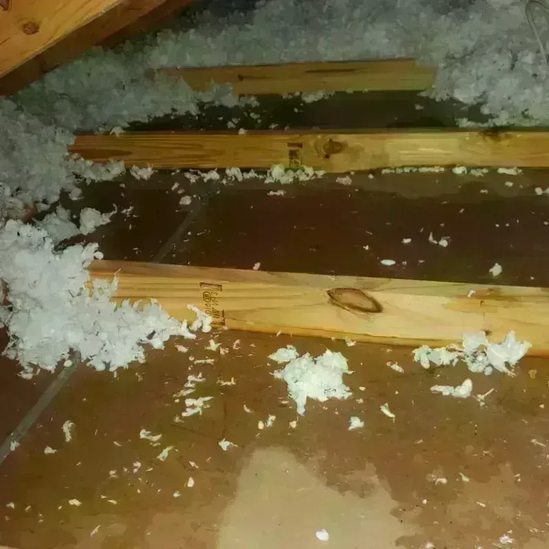 Attic Water Damage in Chandler, IN