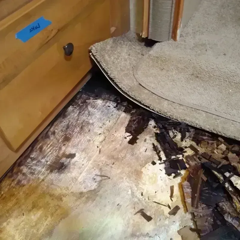 Wood Floor Water Damage in Chandler, IN